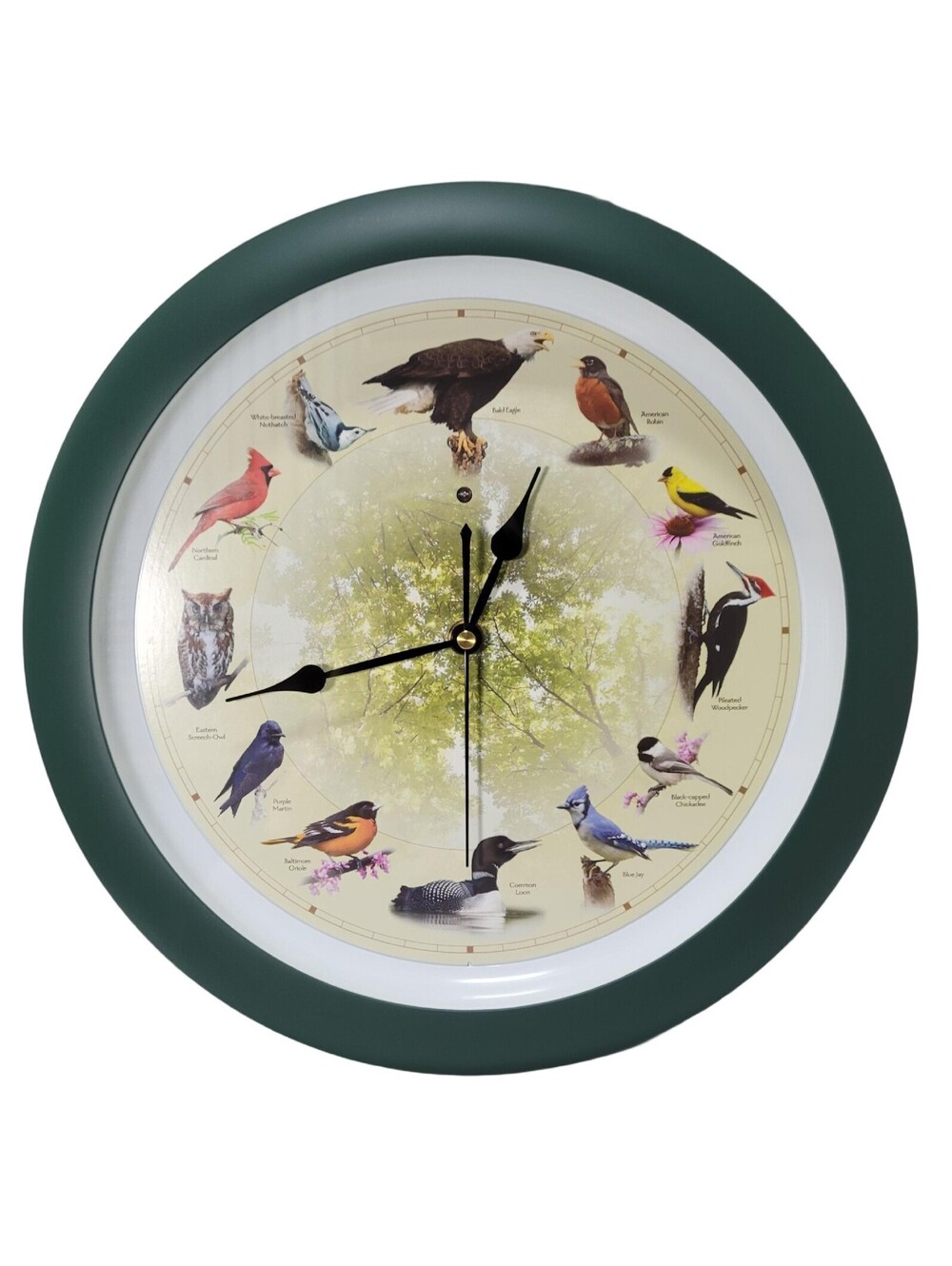 13 Inch Bird Song Wall Clock - Limited 20th Anniversary Model, Auto Dimmable - Picture 2 of 11
